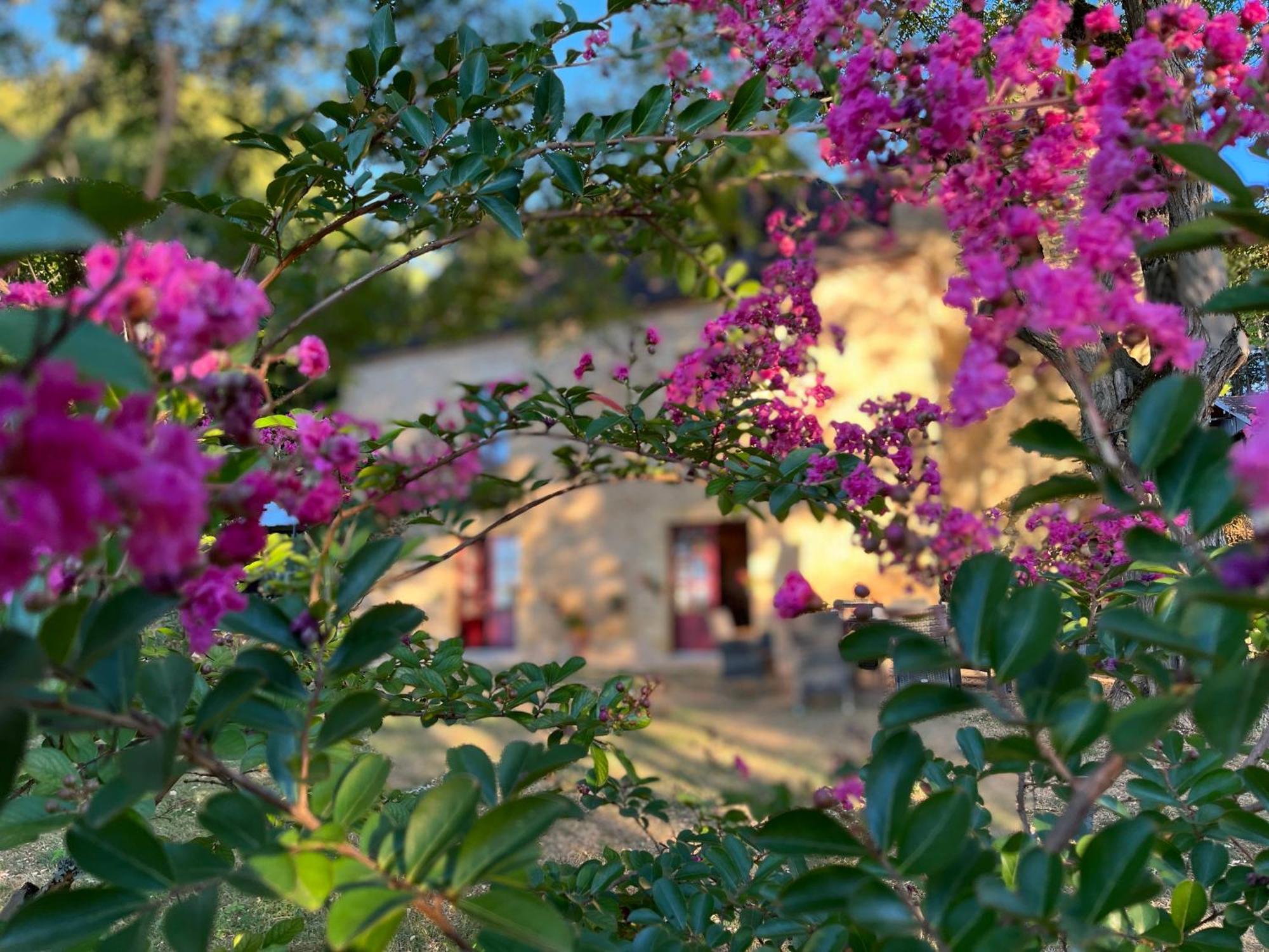 Saint-Alvère Roquebrune المظهر الخارجي الصورة